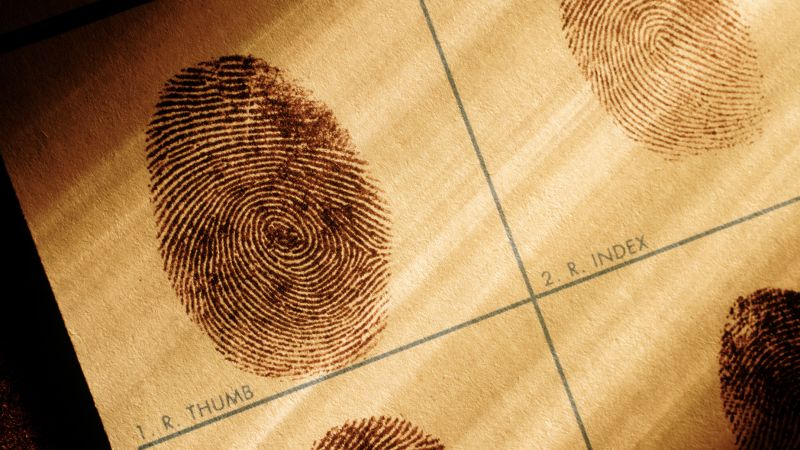 Are fingerprints unique?  Not really, says the AI-based study