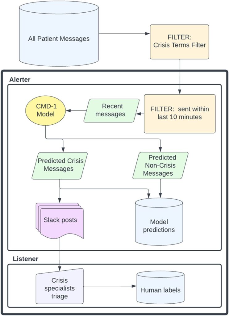 Using natural language processing to detect mental health crises