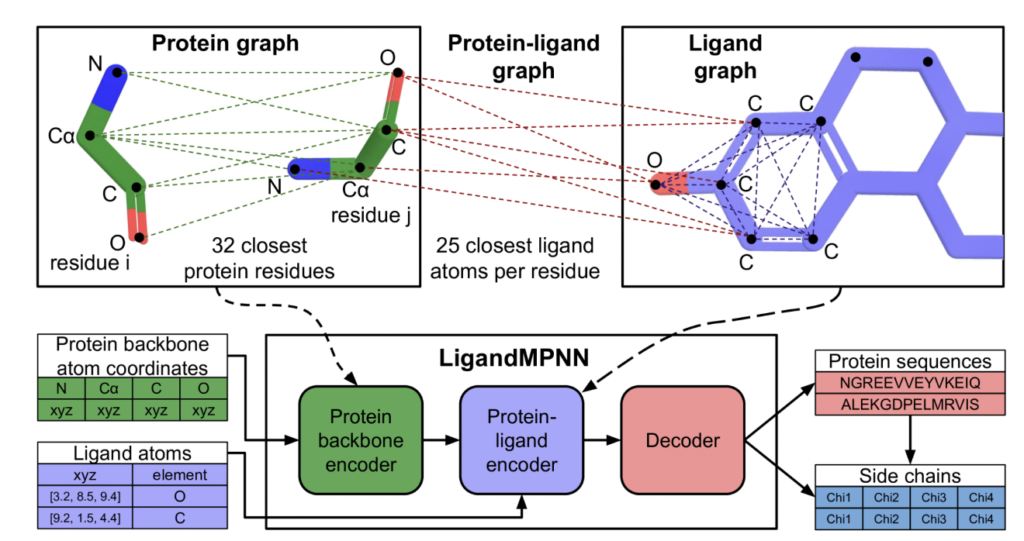 University of Washington researchers developed a deep learning method for protein sequence design that implicitly models the entire non-protein atomic context.