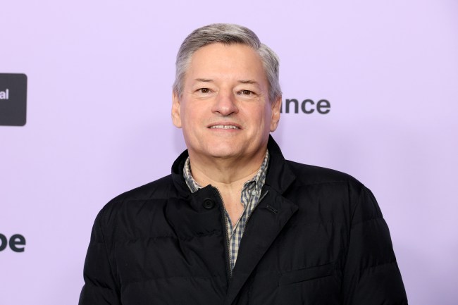 Ted Sarandos Says 'A Person Who Uses AI' 'Could Take Their Job'