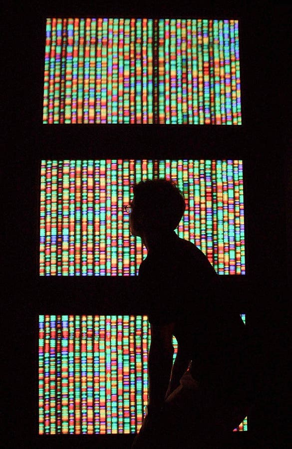 The company uses artificial intelligence to decode genomic diversity.