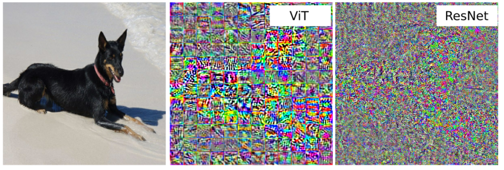 adverserial-perturbations-vits-resnets